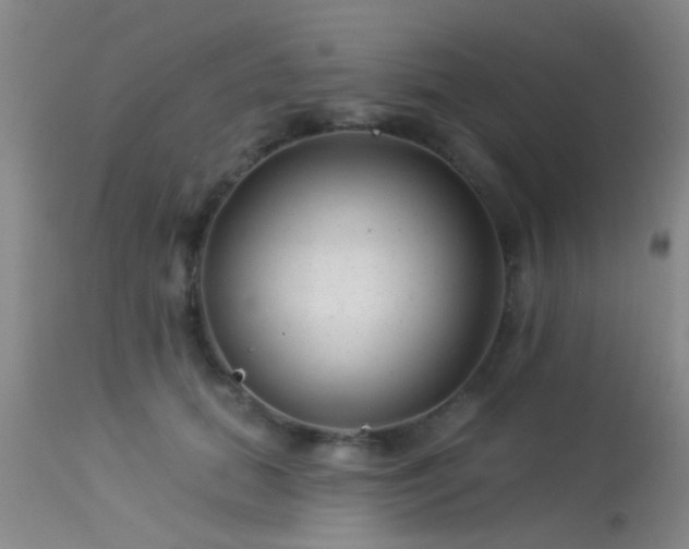 X0000113610655200909251143