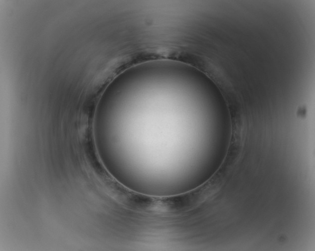 X0000113610656200909251143