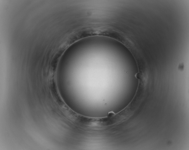 X0000113610657200909251143