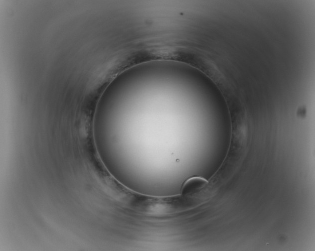 X0000113610658200909251143