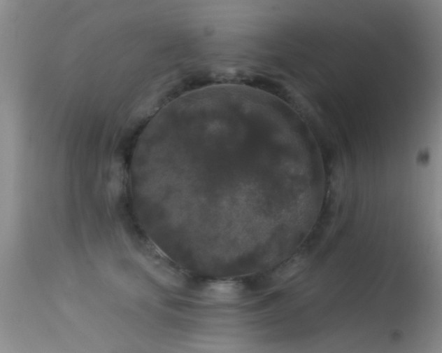 X0000113610659200909251143