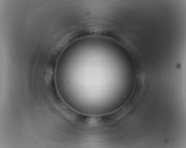 X0000113610660200909251143