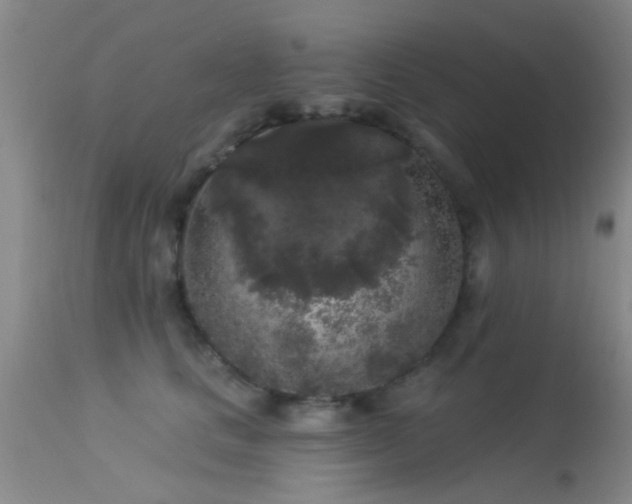 X0000113610661200909251143