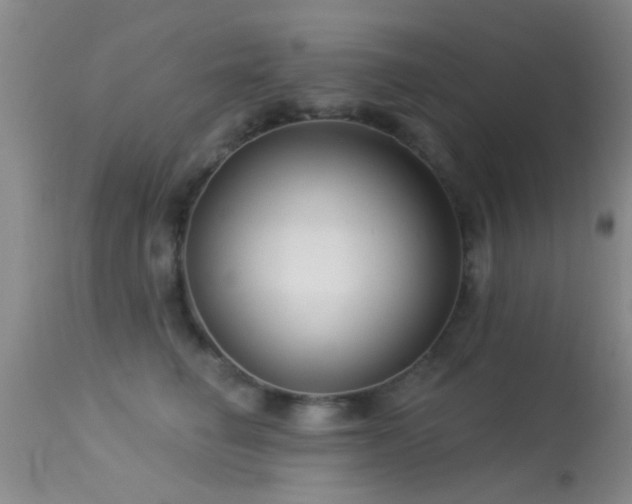 X0000113610662200909251143