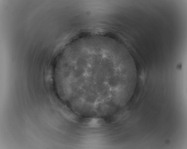 X0000113610663200909251144