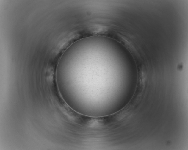 X0000113610664200909251144