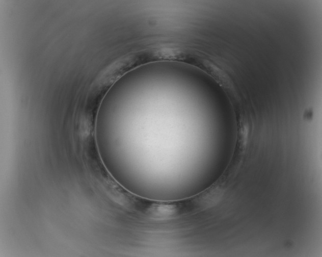 X0000113610665200909251144