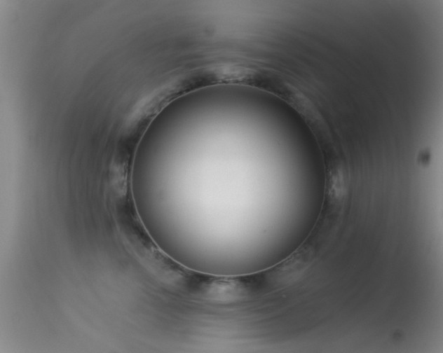 X0000113610666200909251144