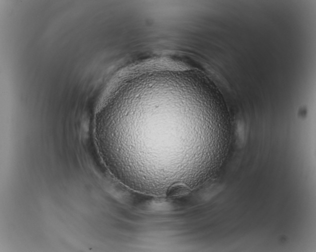 X0000113610668200909251144