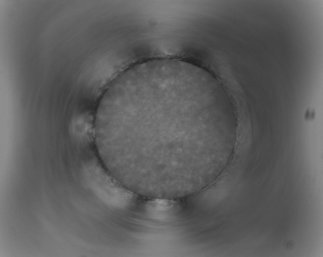 X0000113610672200909251144