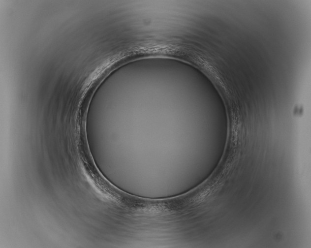 X0000113610674200909251143