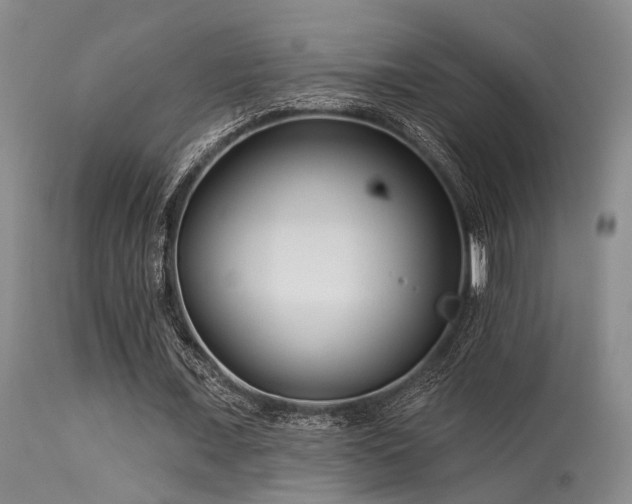 X0000113610675200909251143