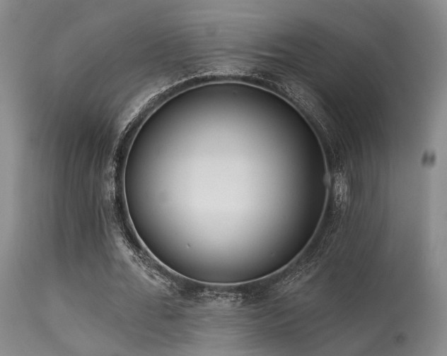 X0000113610676200909251143