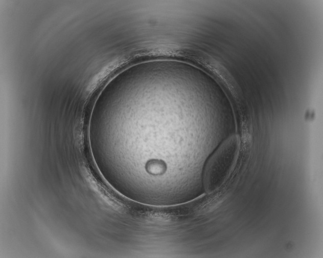 X0000113610677200909251143