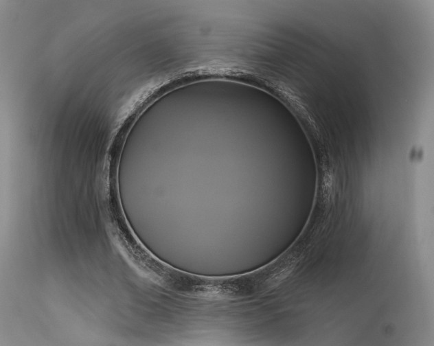 X0000113610678200909251143