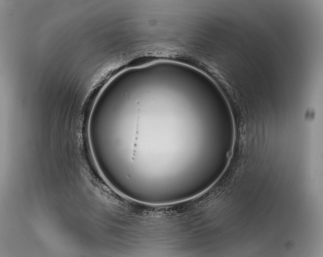 X0000113610679200909251143