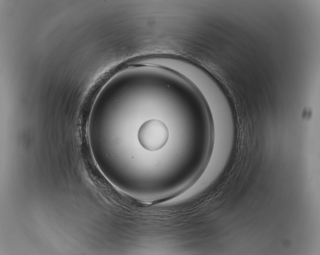 X0000113610680200909251143