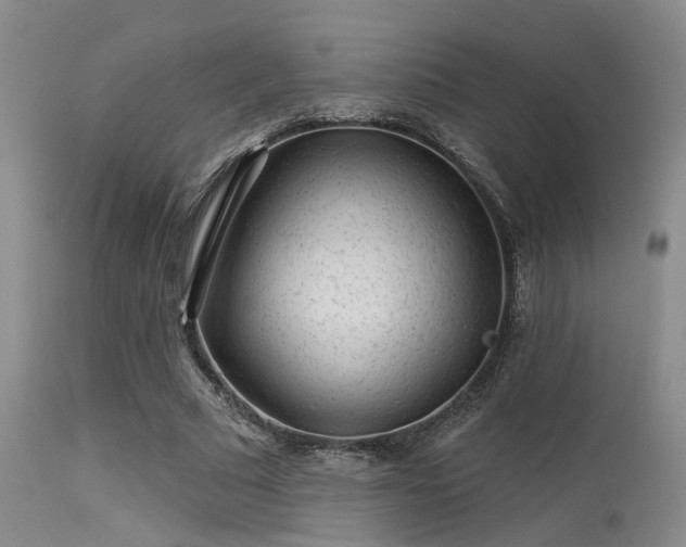 X0000113610681200909251143