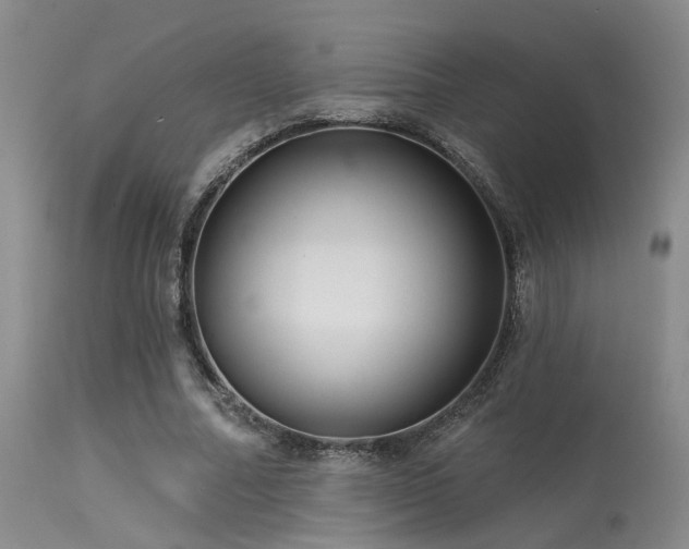 X0000113610682200909251143