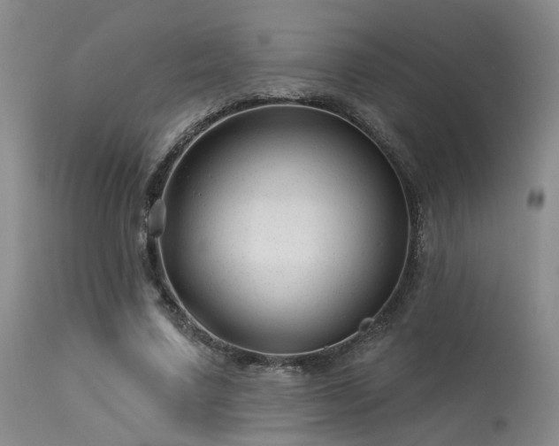 X0000113610683200909251143