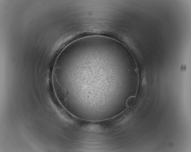 X0000113610685200909251143