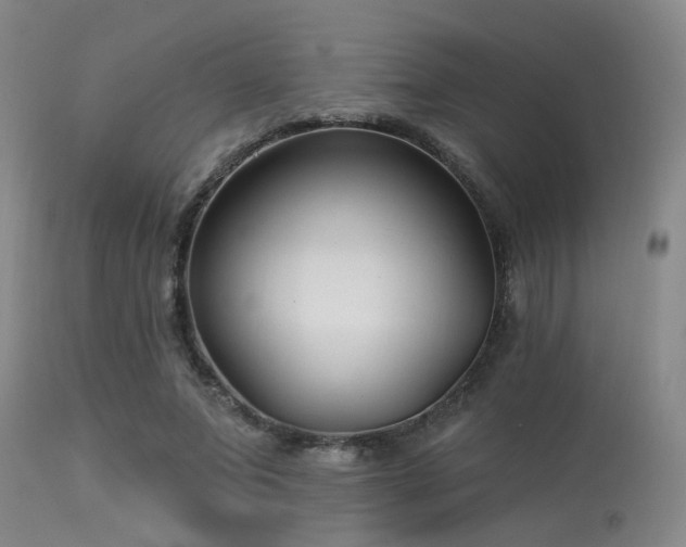 X0000113610687200909251143