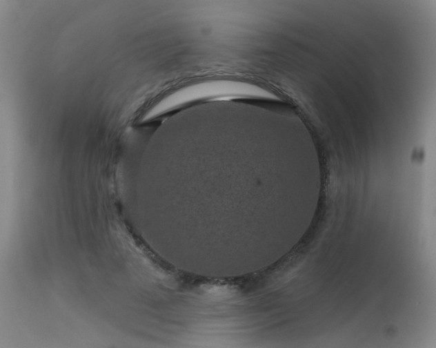 X0000113610689200909251143