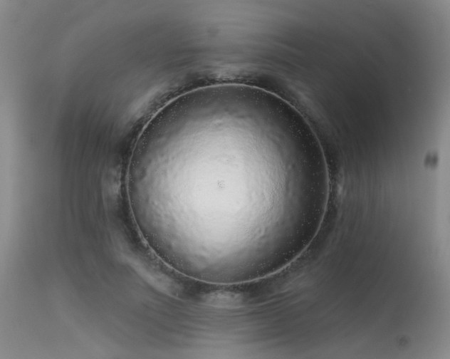 X0000113610691200909251142