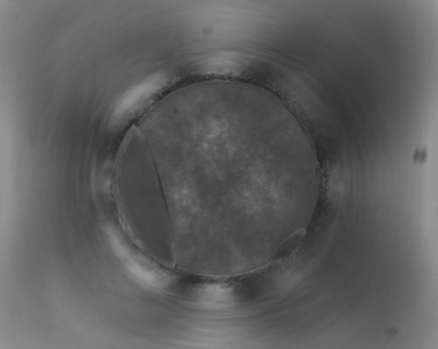 X0000113610692200909251142