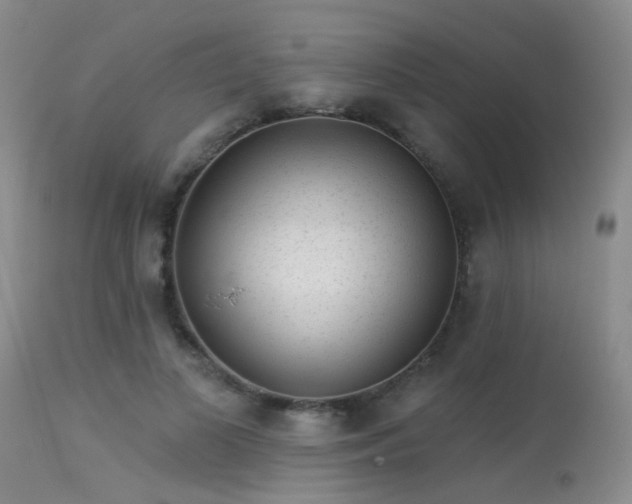 X0000113610693200909251142