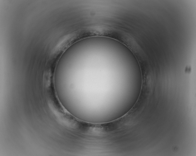 X0000113610694200909251142