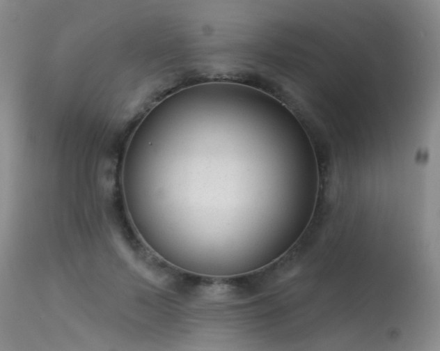 X0000113610695200909251142