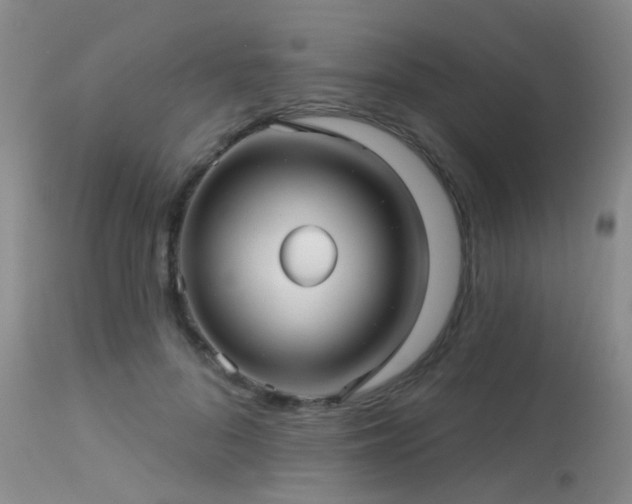 X0000113610696200909251142