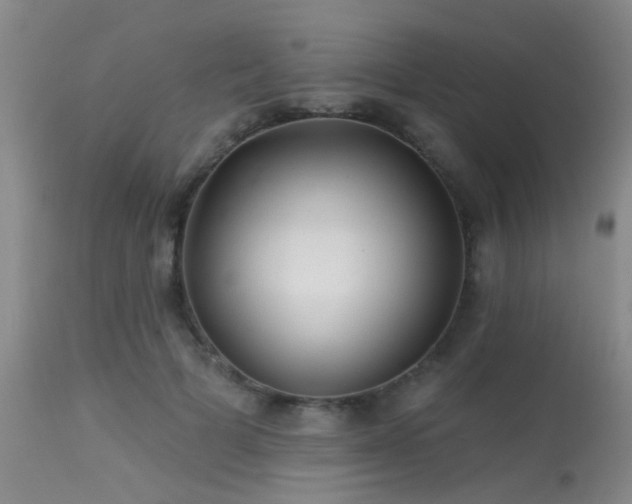 X0000113610697200909251142