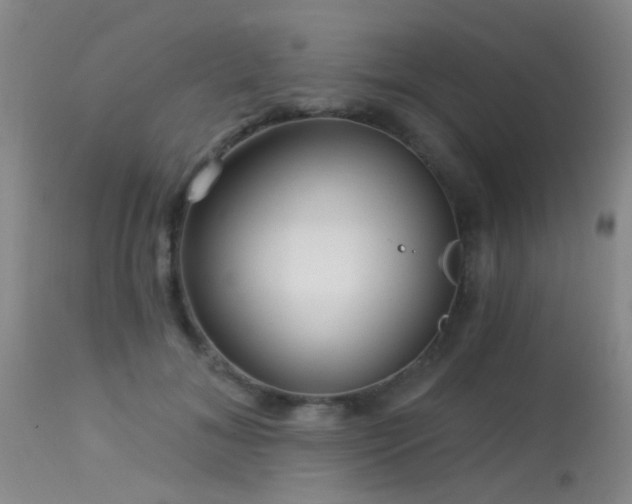 X0000113610700200909251142