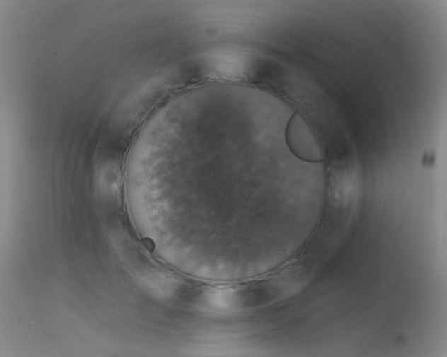 X0000113610701200909251142