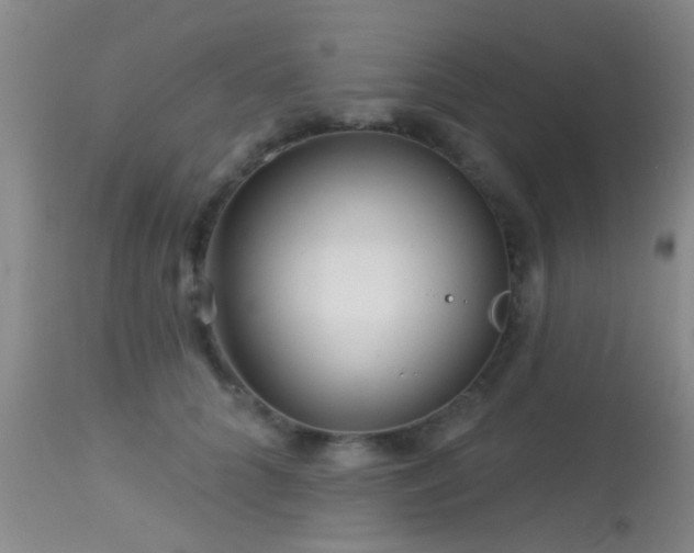 X0000113610704200909251142