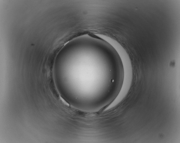 X0000113610705200909251142