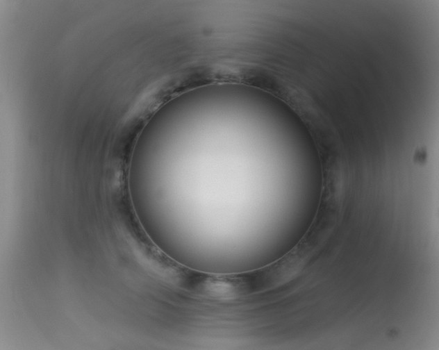 X0000113610706200909251142