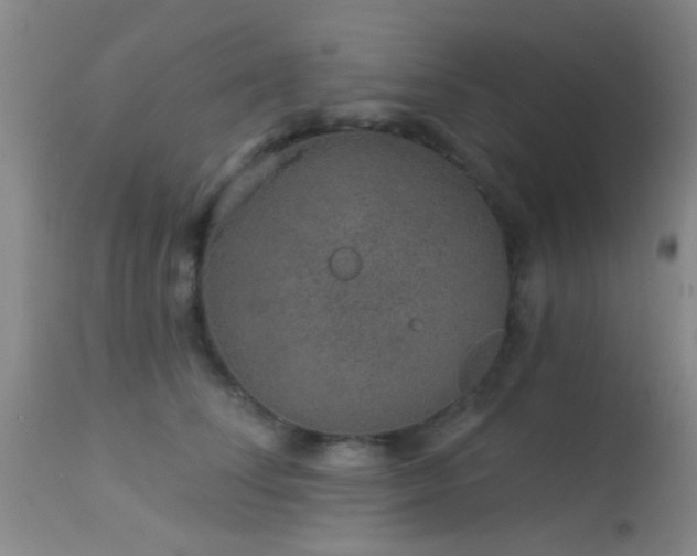 X0000113610708200909251142