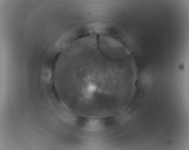 X0000113610709200909251142