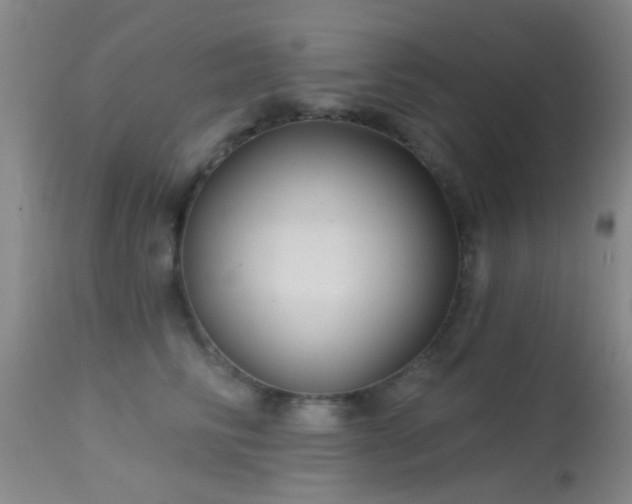 X0000113610710200909251142