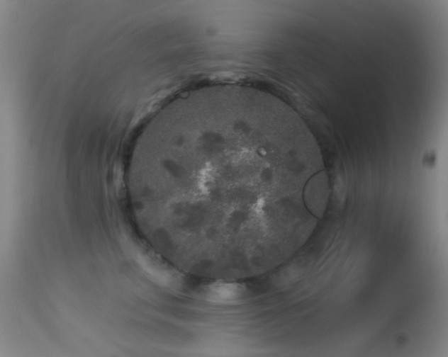 X0000113610711200909251142