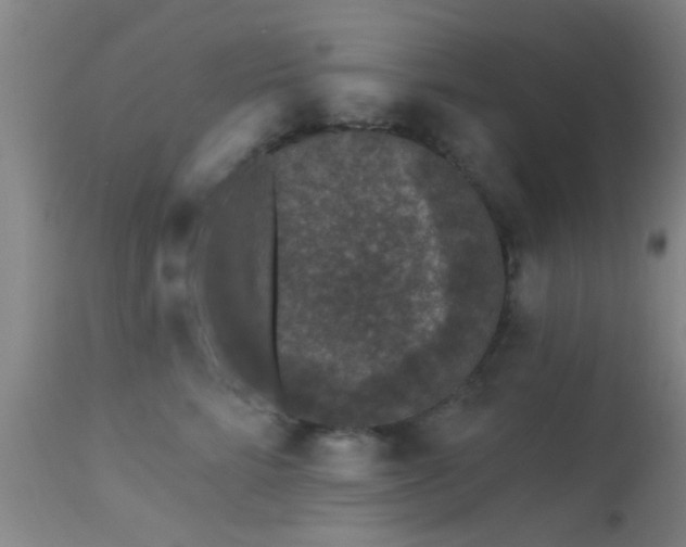 X0000113610712200909251142