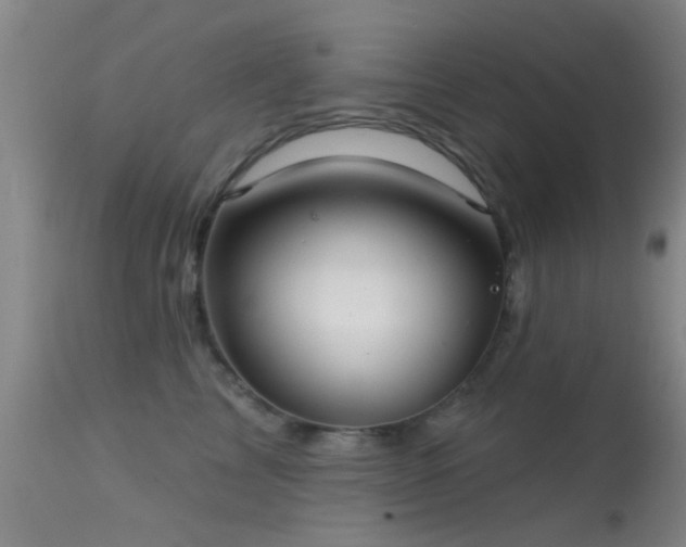 X0000113610713200909251142