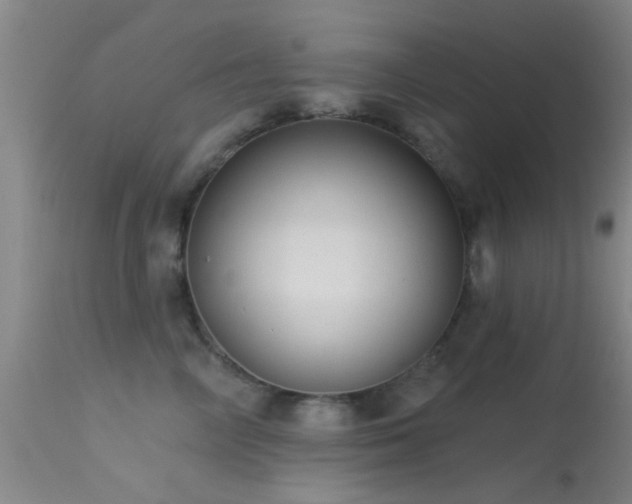 X0000113610714200909251142