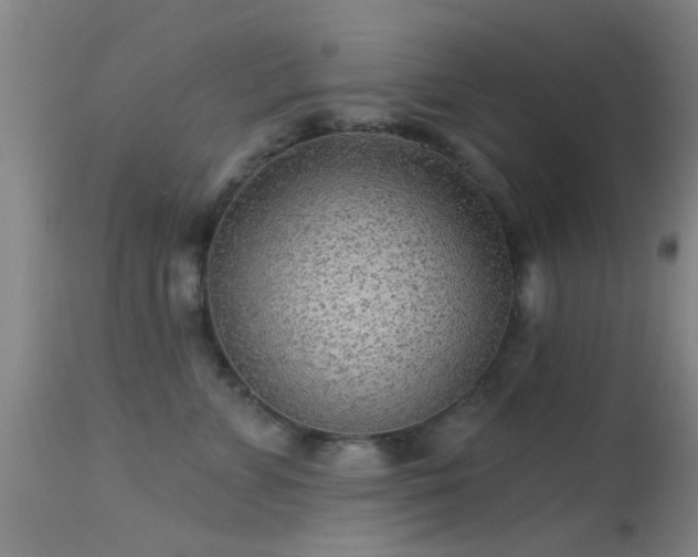 X0000113610715200909251142