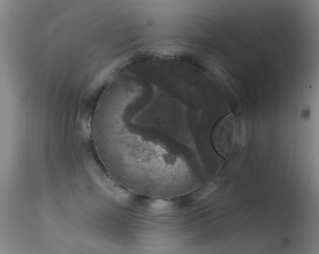 X0000113610718200909251142