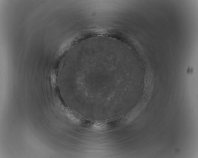 X0000113610720200909251142