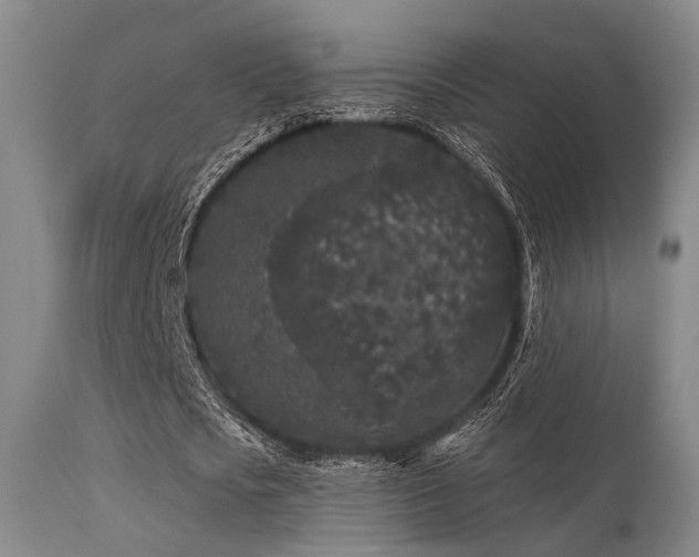 X0000113610721200909251141